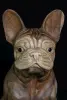 Product image 1 of the product “Seated French Bulldog made from suar wood, 50cm Height. ”